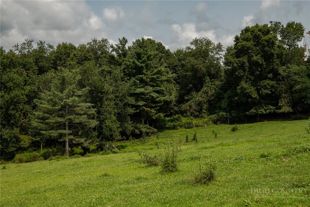 Image number 11 for the current listing