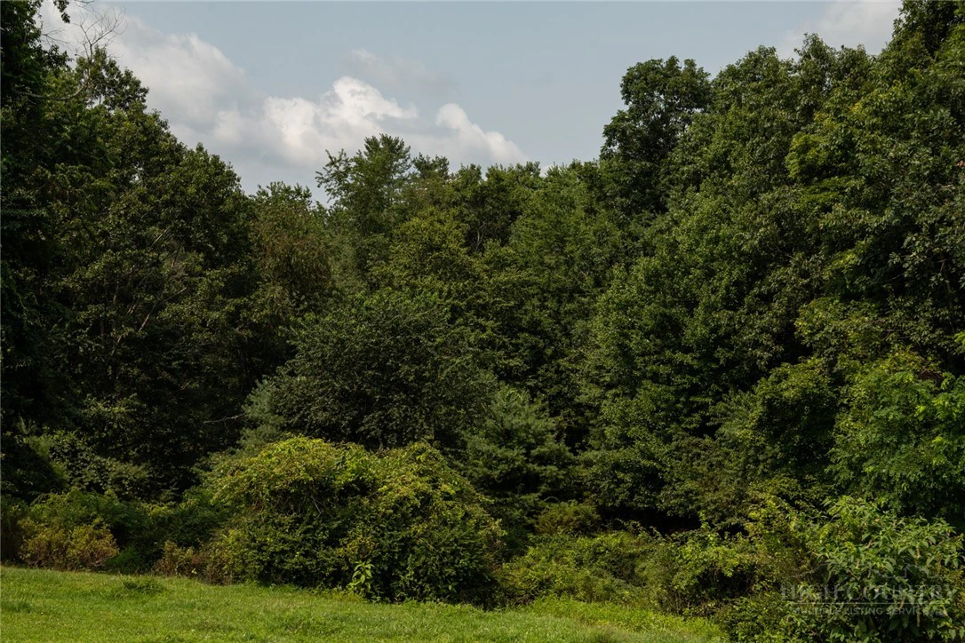 Image number 12 for the current listing