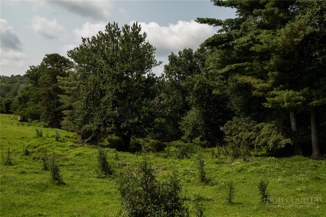 Image number 13 for the current listing