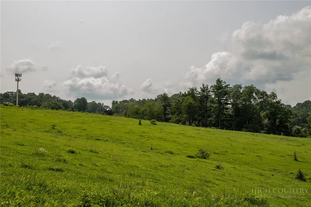 Image number 14 for the current listing