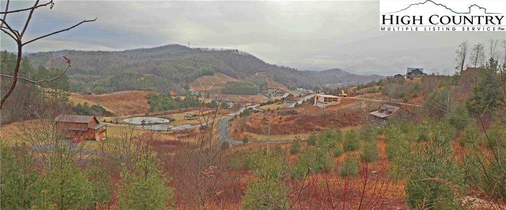 Image number 1 for the current listing