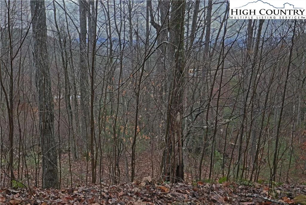 Image number 16 for the current listing