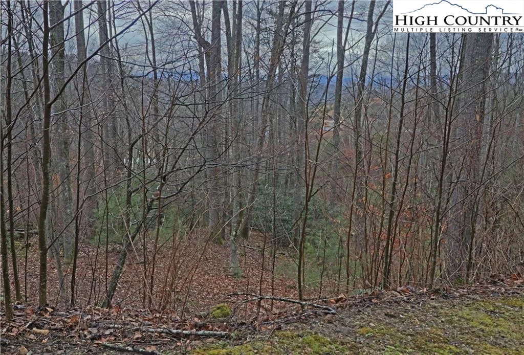 Image number 2 for the current listing