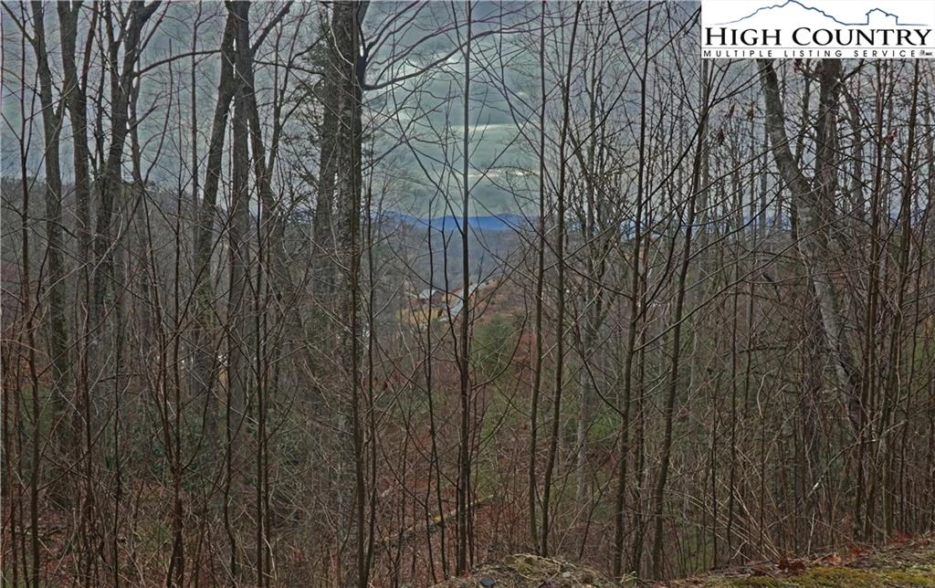 Image number 15 for the current listing