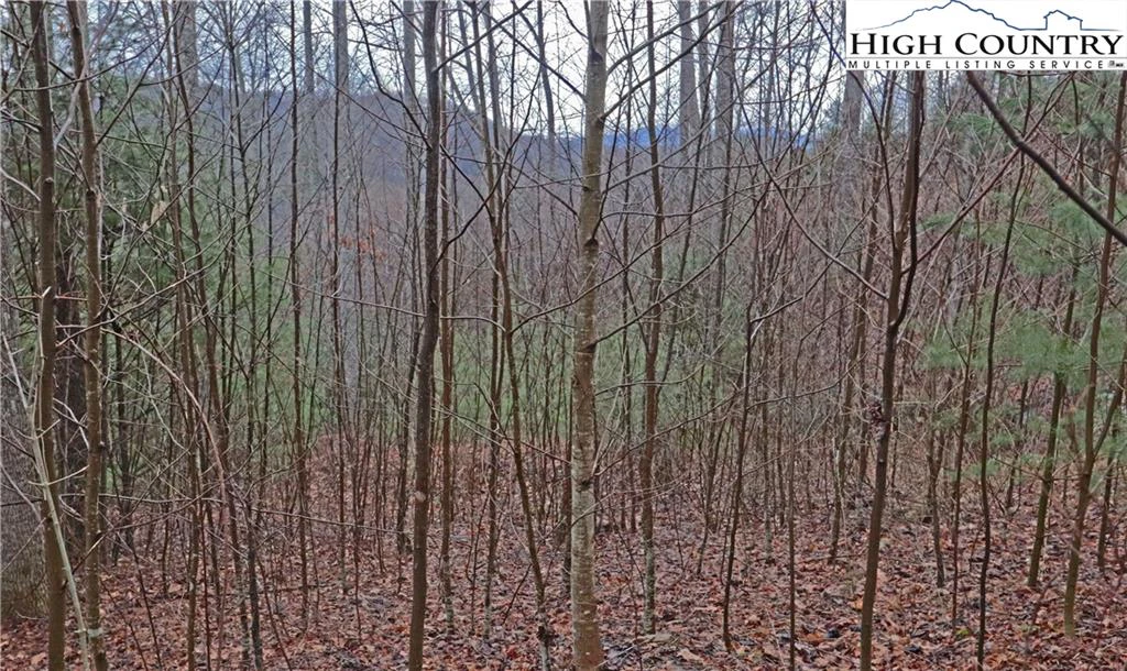Image number 13 for the current listing