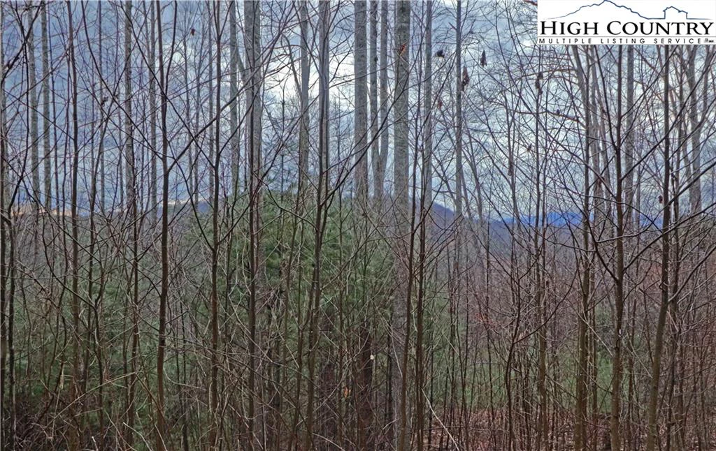 Image number 12 for the current listing