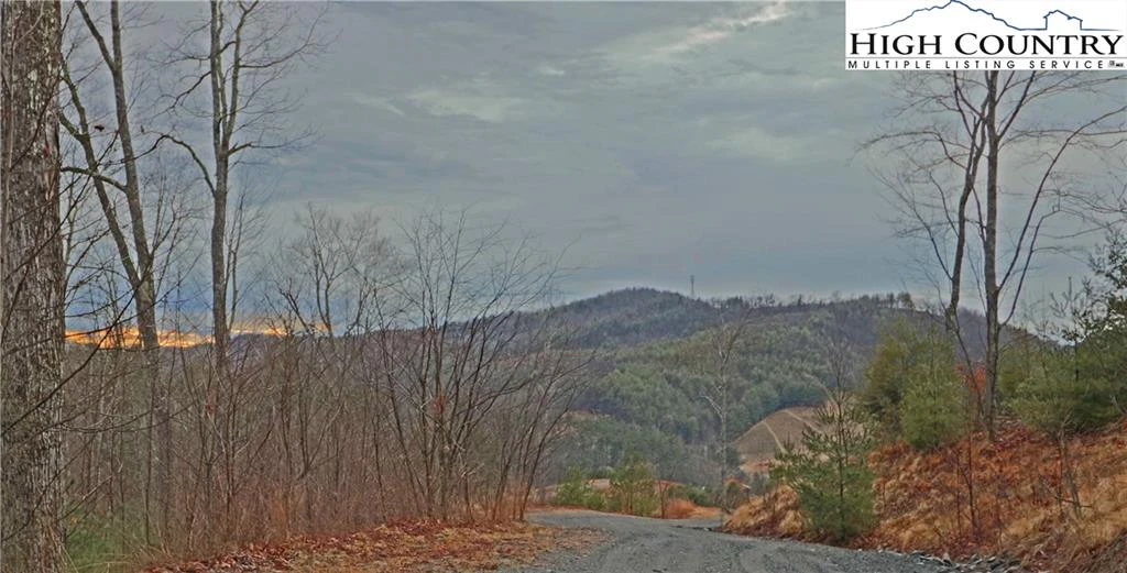 Image number 11 for the current listing