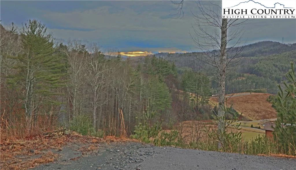 Image number 10 for the current listing