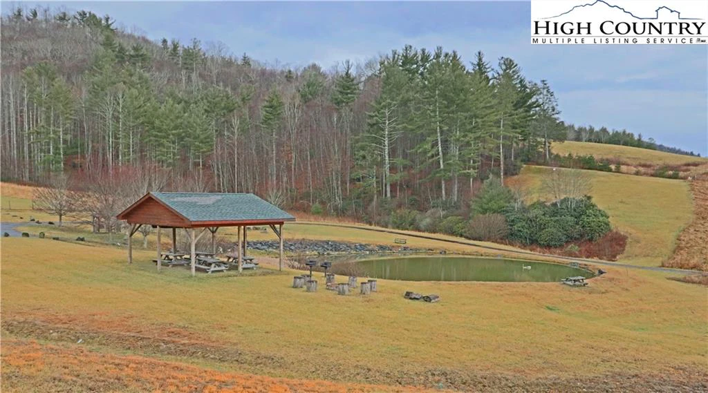 Image number 7 for the current listing