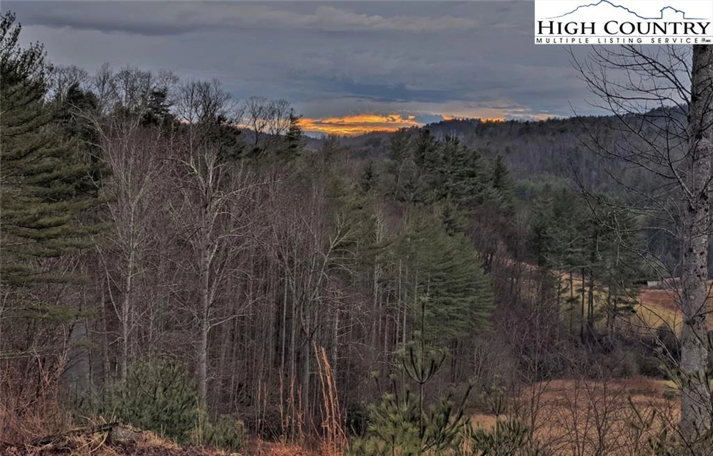 Image number 4 for the current listing