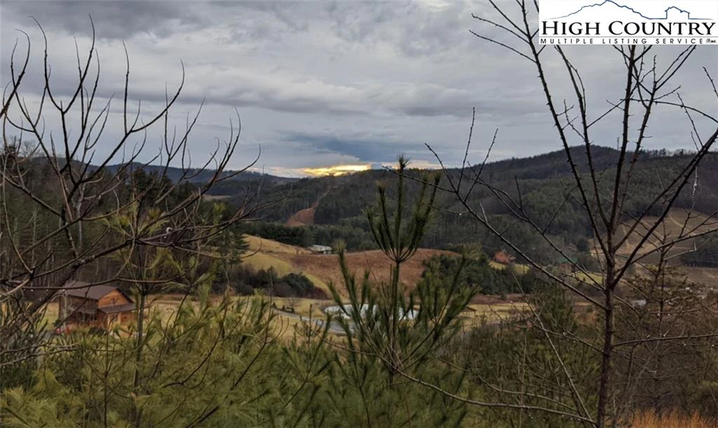Image number 3 for the current listing