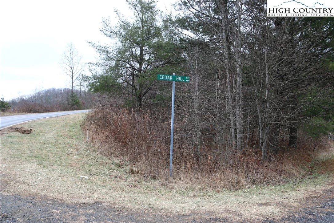 Image number 1 for the current listing