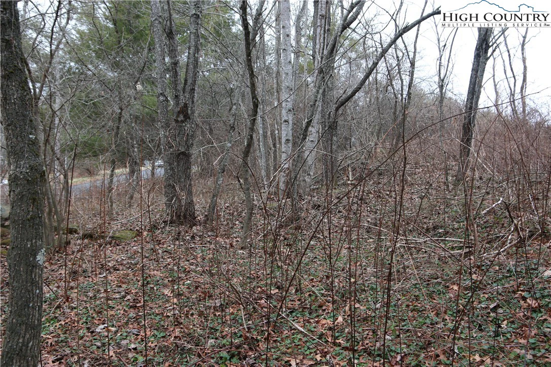 Image number 4 for the current listing