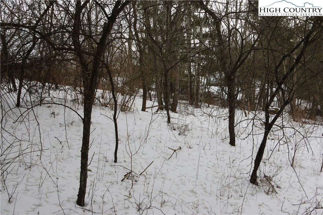 Image number 5 for the current listing