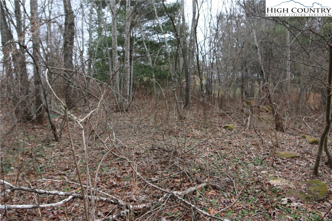 Image number 6 for the current listing