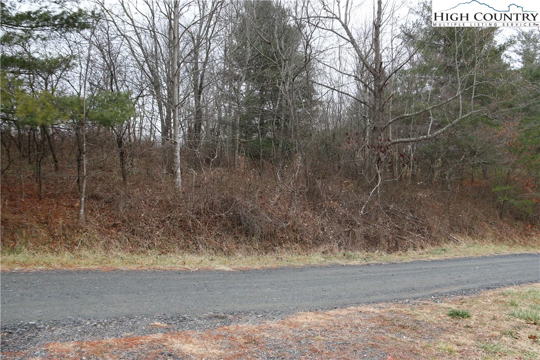 Image number 8 for the current listing