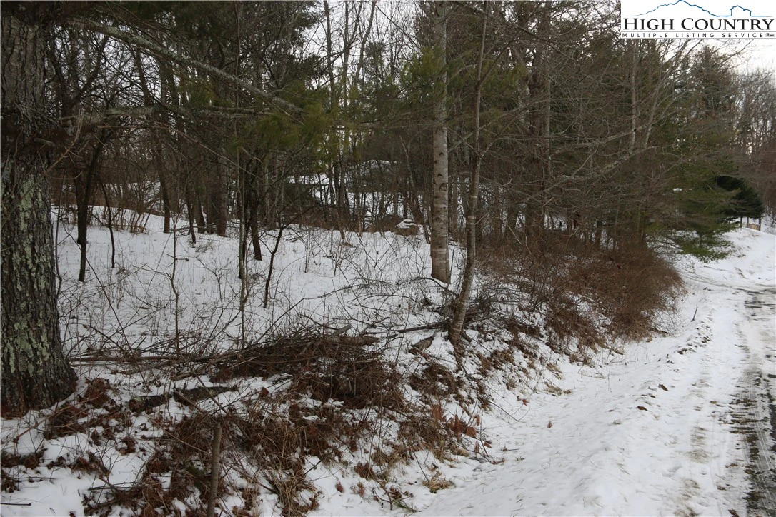 Image number 9 for the current listing