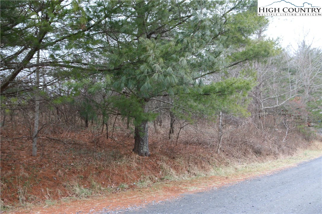 Image number 10 for the current listing
