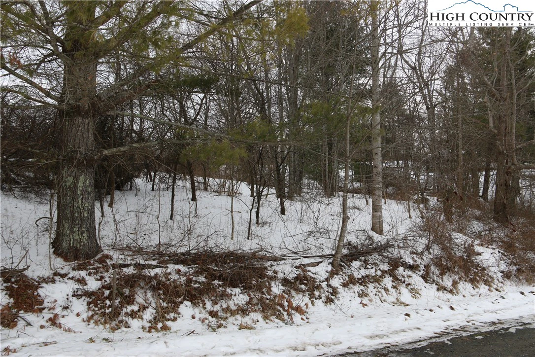 Image number 11 for the current listing