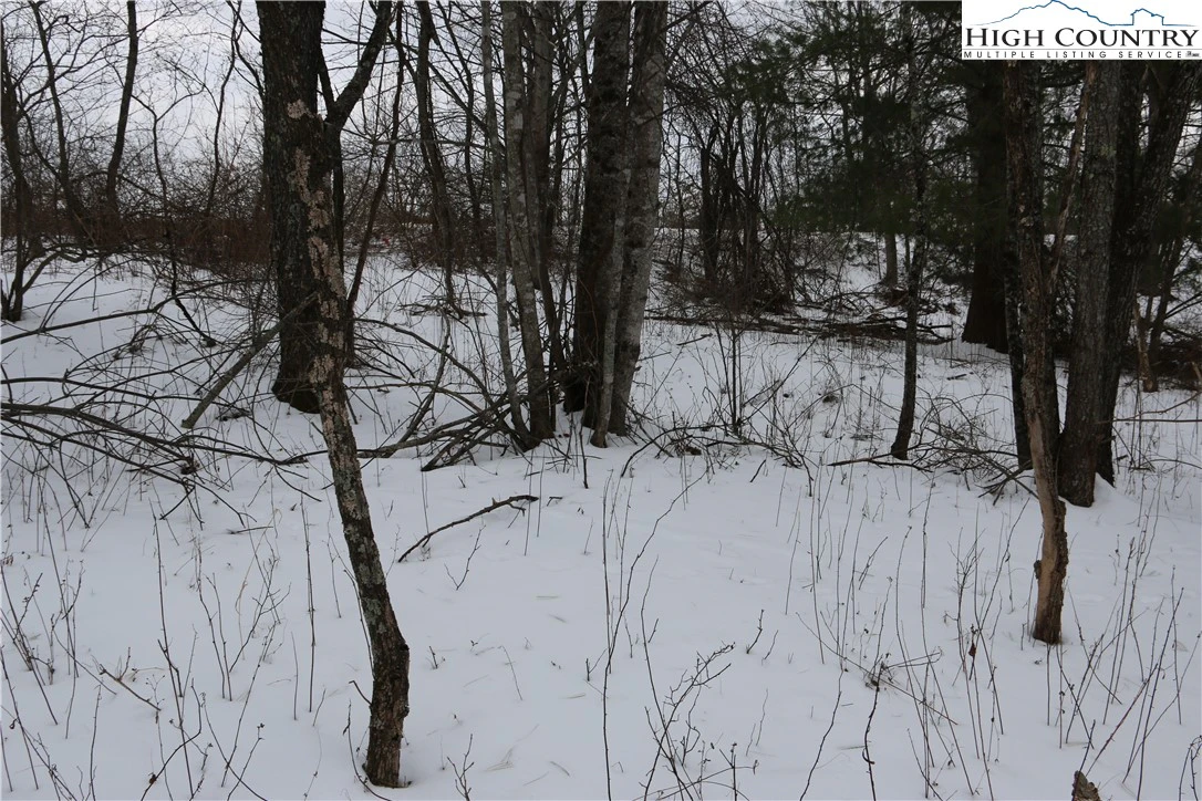 Image number 12 for the current listing
