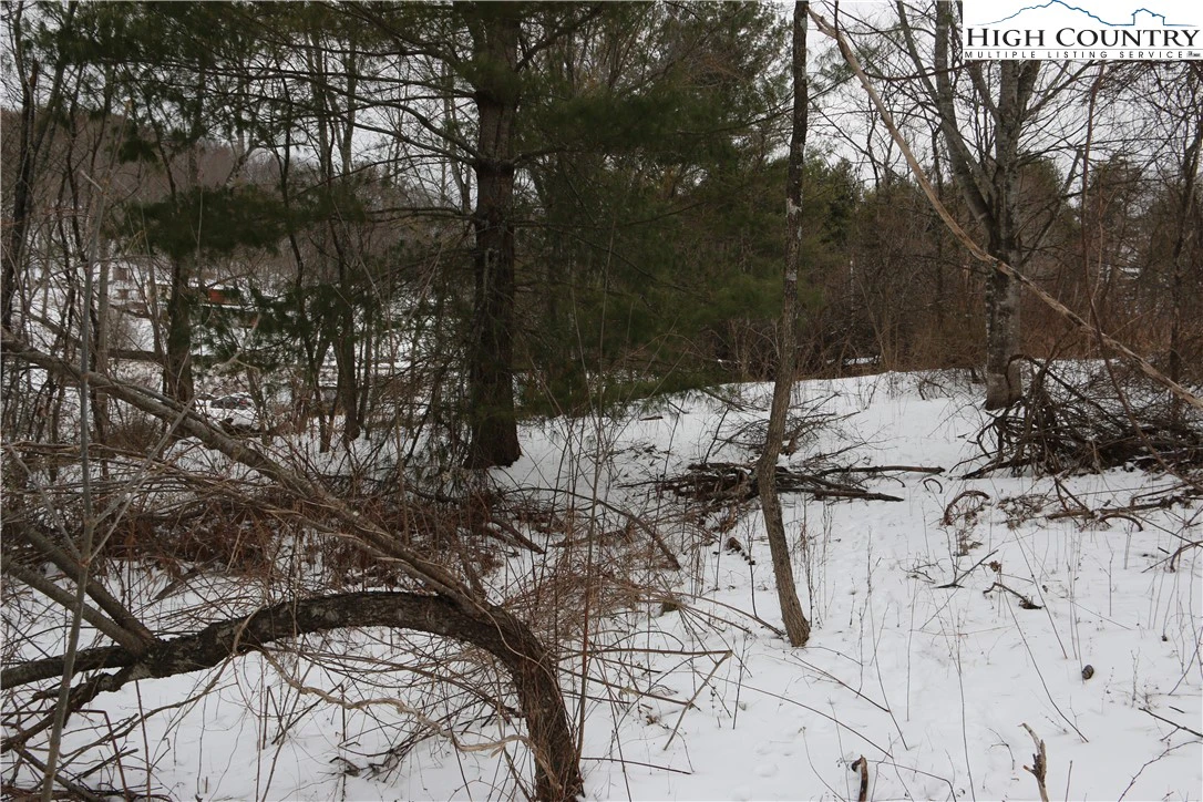 Image number 13 for the current listing