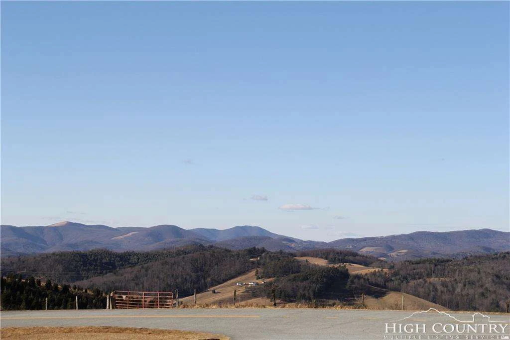 Image number 1 for the current listing