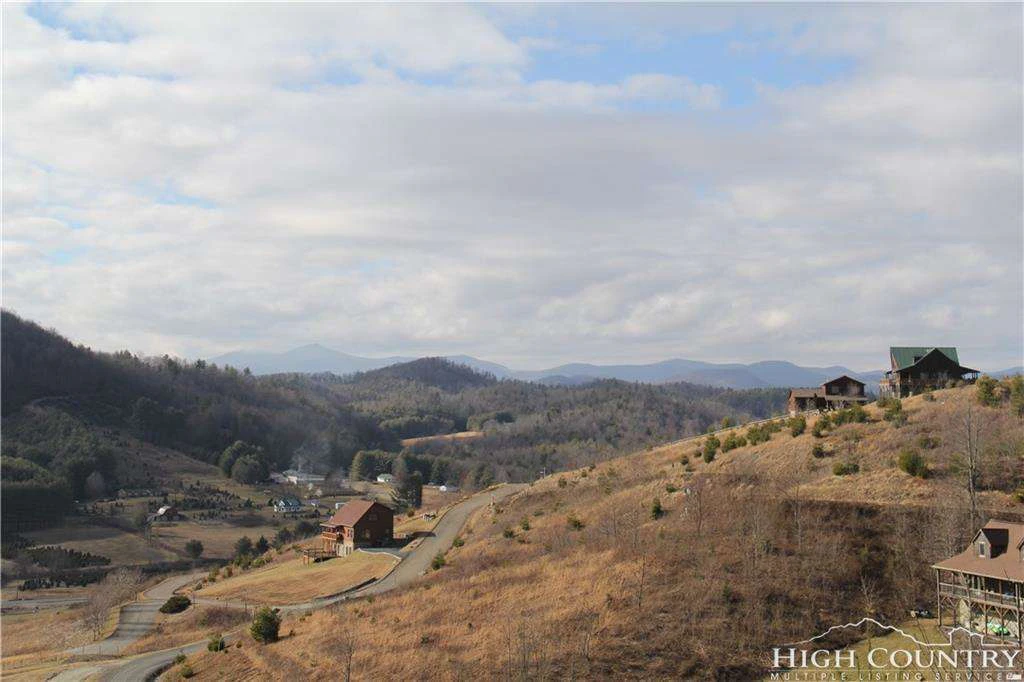 Image number 4 for the current listing