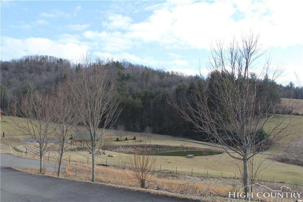 Image number 7 for the current listing