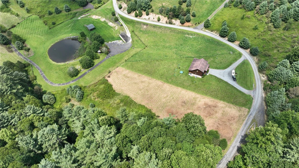 Image number 1 for the current listing