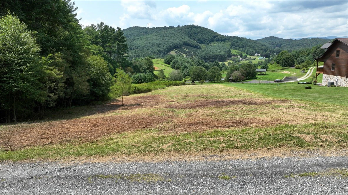 Image number 7 for the current listing