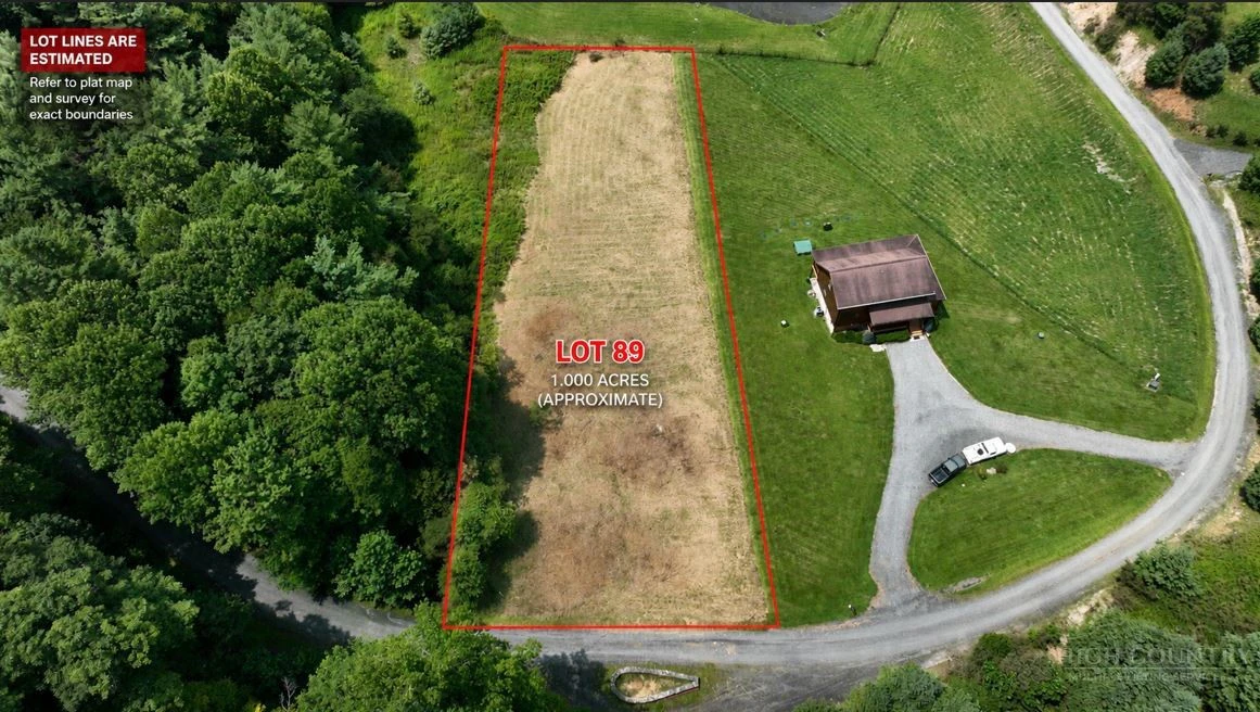 Image number 2 for the current listing