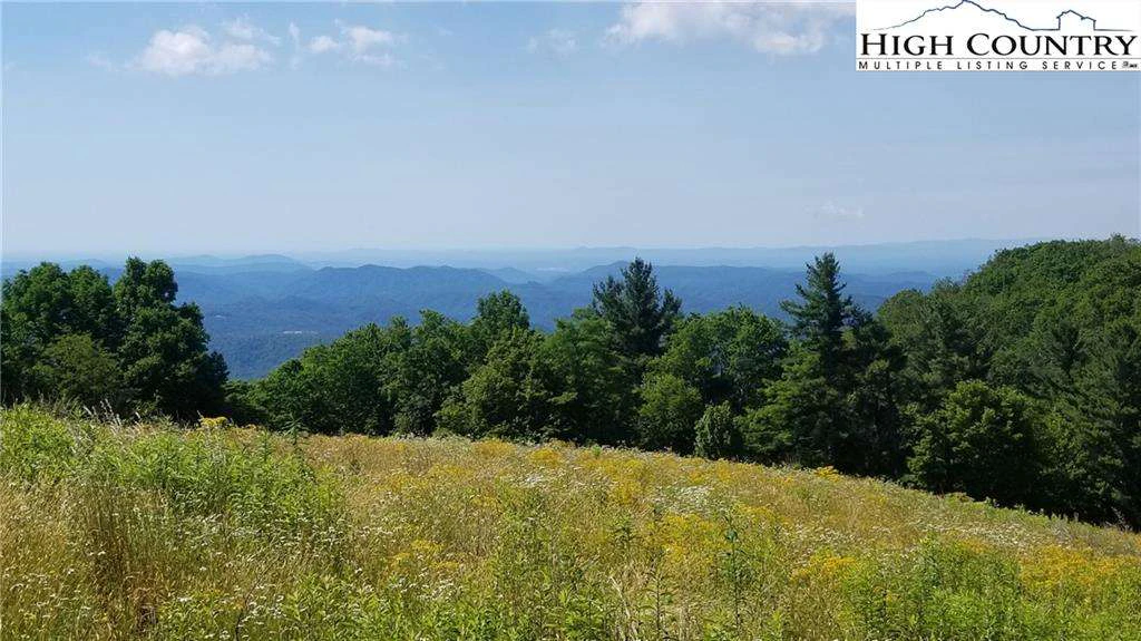 Image number 1 for the current listing