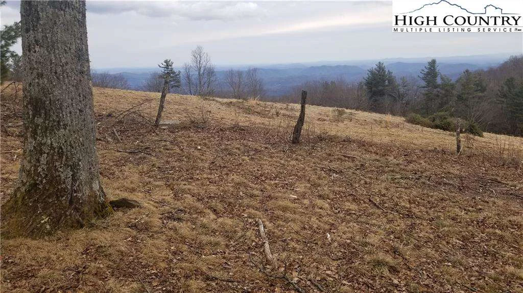 Image number 11 for the current listing