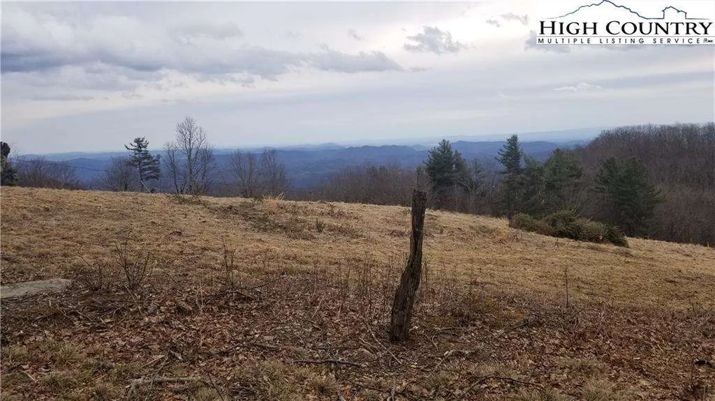 Image number 6 for the current listing