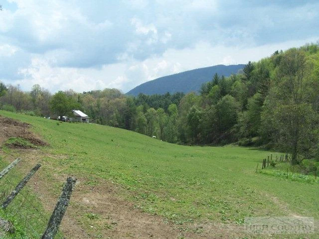 Image number 1 for the current listing