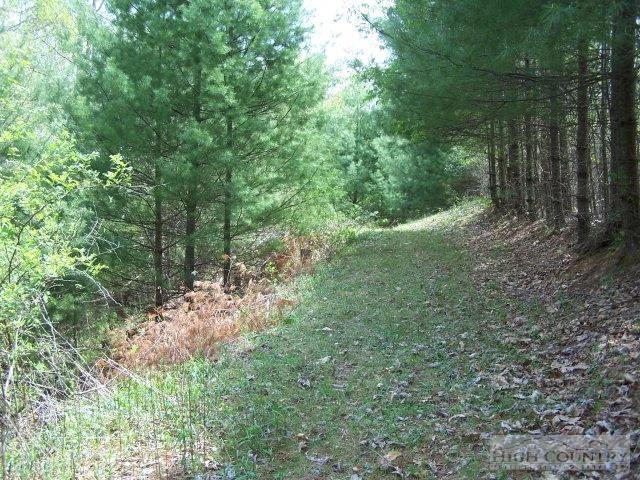 Image number 3 for the current listing