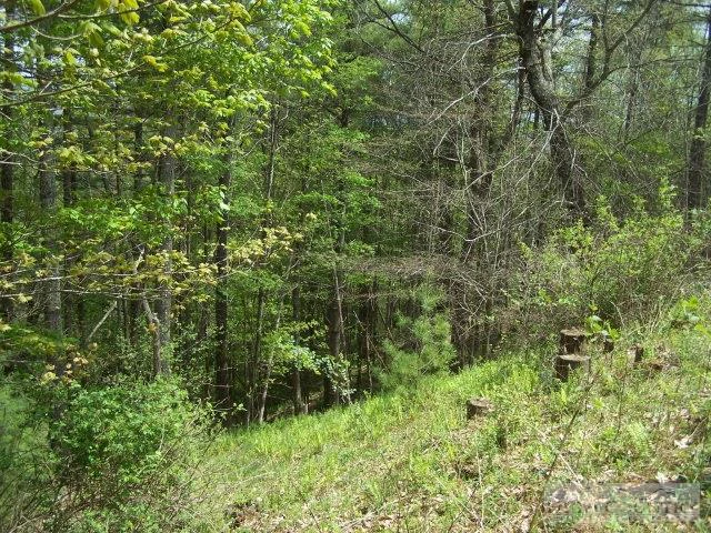 Image number 4 for the current listing