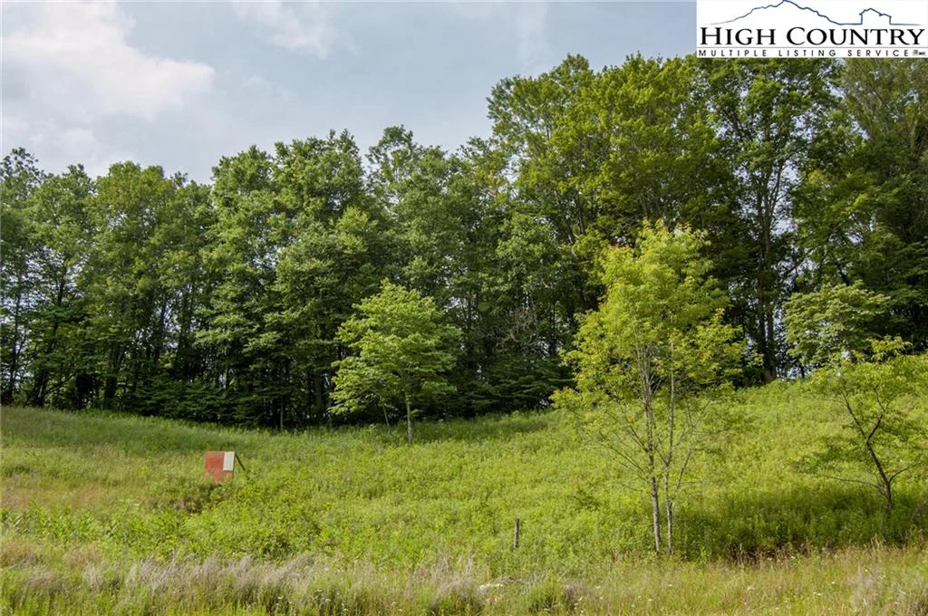 Image number 3 for the current listing