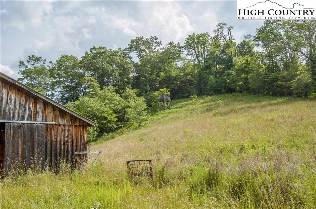 Image number 5 for the current listing