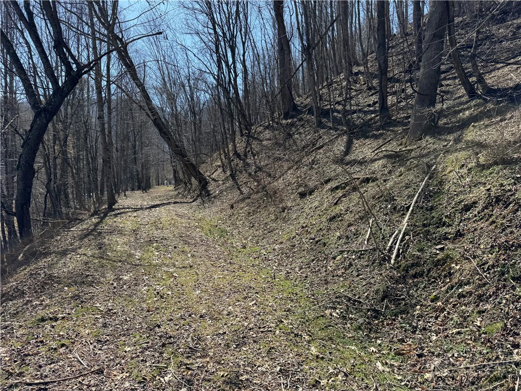 Image number 2 for the current listing