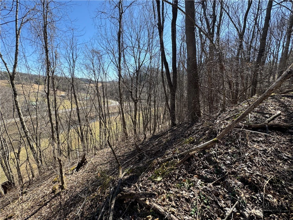Image number 3 for the current listing