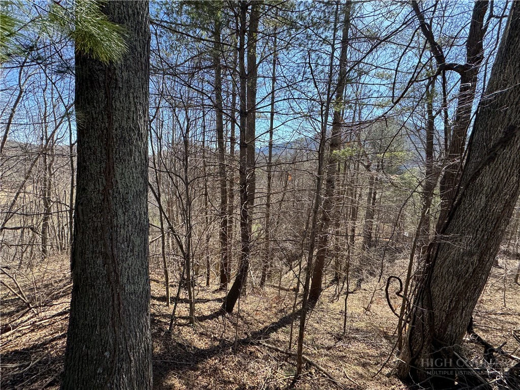 Image number 4 for the current listing