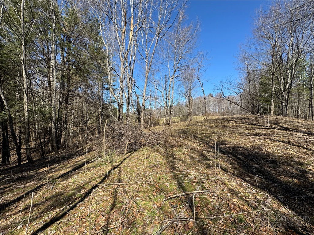 Image number 5 for the current listing