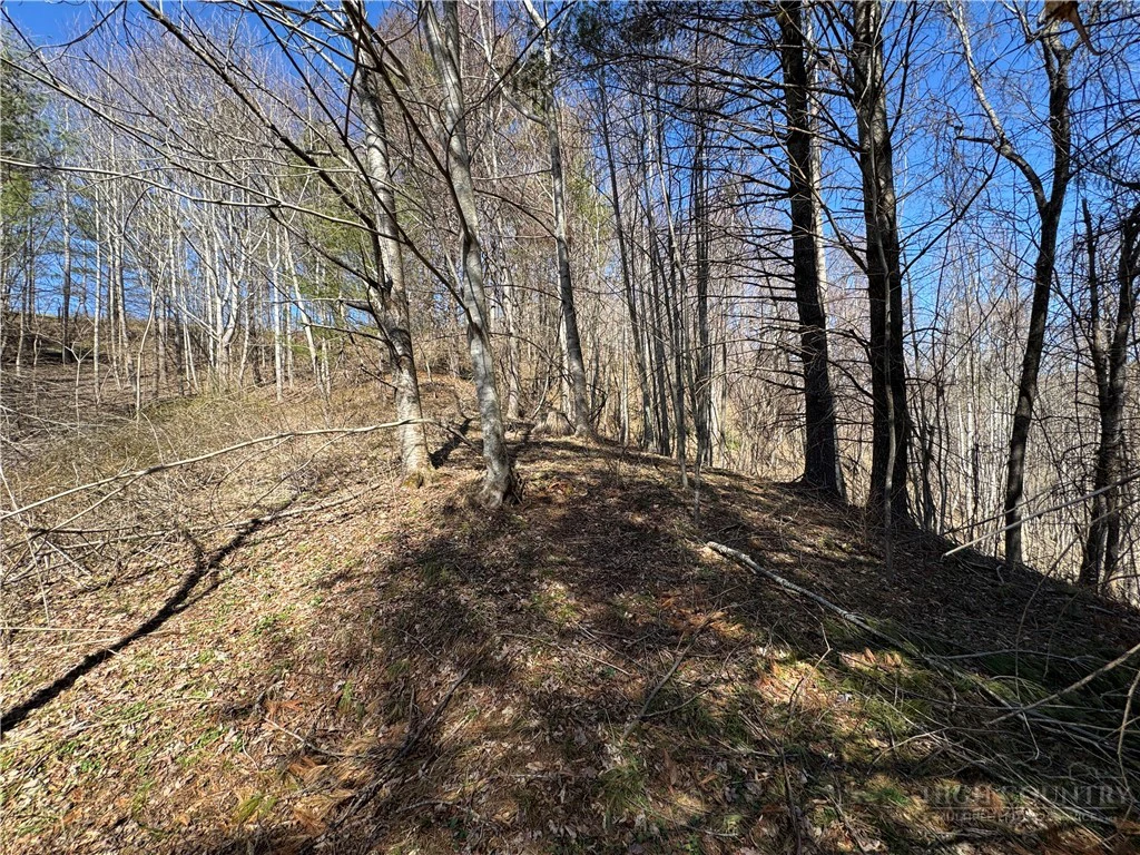 Image number 7 for the current listing