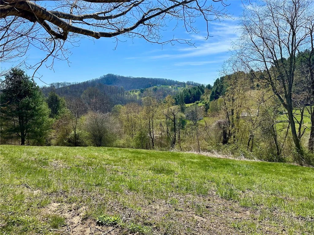 Image number 3 for the current listing