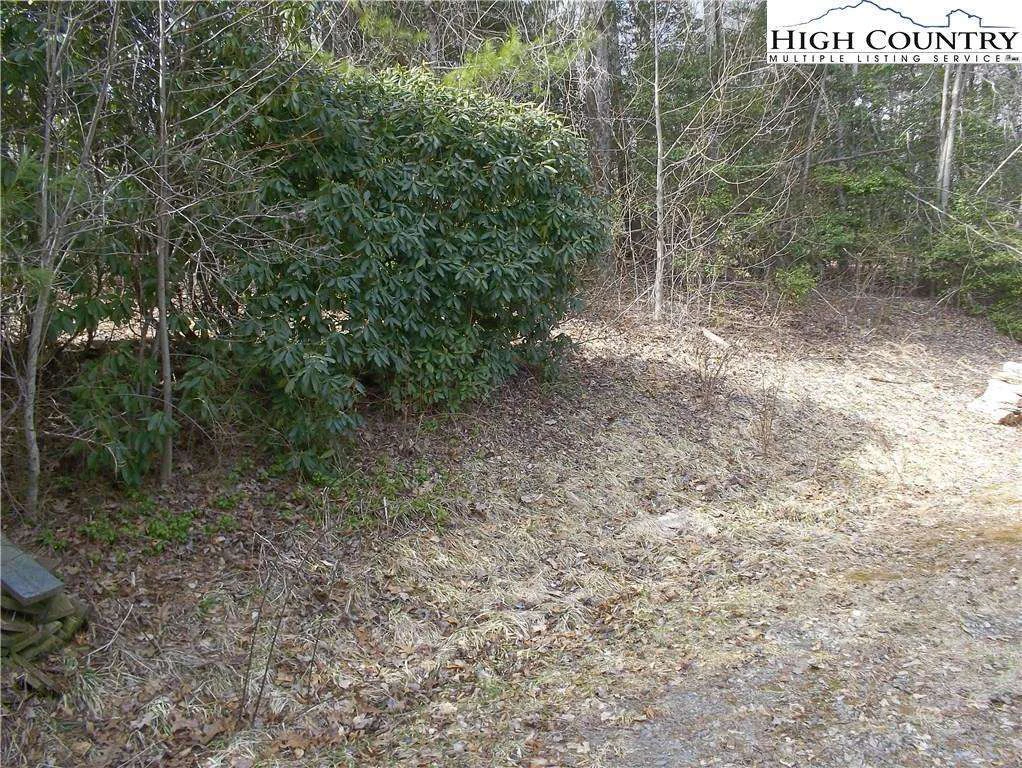 Image number 1 for the current listing