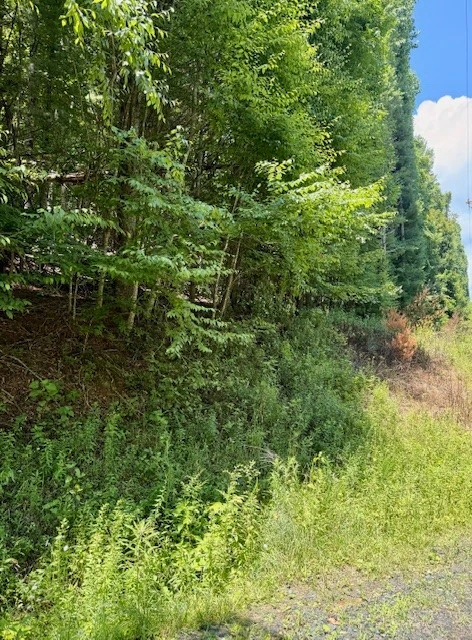 Image number 1 for the current listing