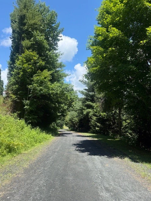 Image number 5 for the current listing