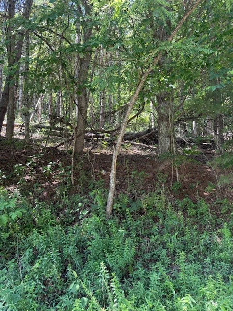 Image number 6 for the current listing