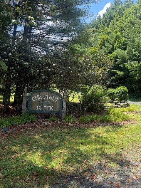 Image number 7 for the current listing